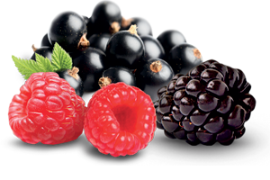 Black Currant Berry Tart